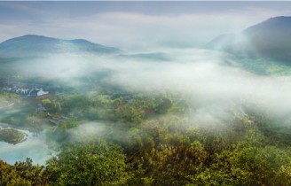 Tao Hongjing and the Taoism Shangqing Sect