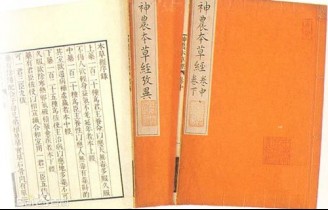 Tao Hongjing and the Divine Farmer’s Classic of Materia Medica